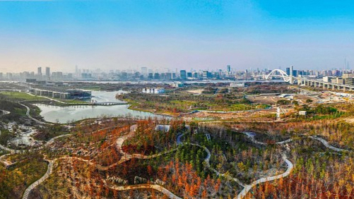 上海：計(jì)劃新增120座城鄉(xiāng)公園 城市公園全天開(kāi)放