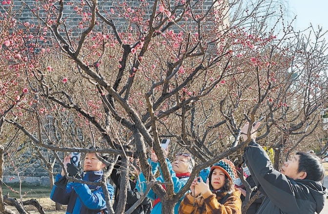 北京已有公園1100個(gè) 三分之二無界融通