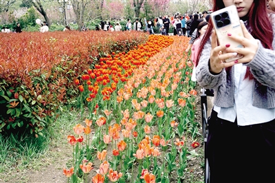 鄭州如何從人民公園發(fā)展到“千園”鄭州